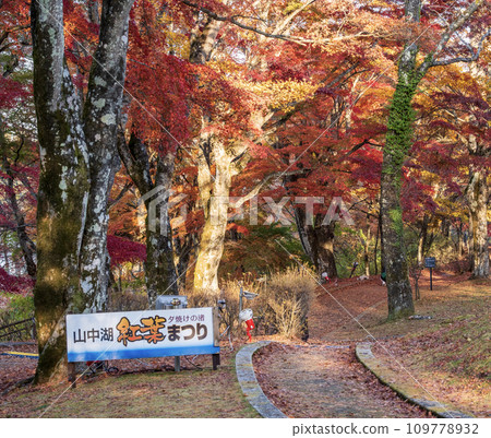 山中湖秋節節 109778932