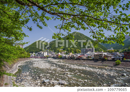 [Gero Onsen in the fresh green season] Fresh greenery and hot spring town along the Hida River 109779085