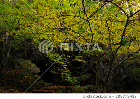 Scenery of the approach to Shakunji Temple Scenery of the approach to Shakunji Temple 109779482