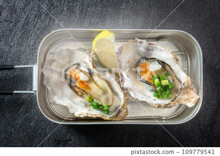 Mushi oyster dish Photo of delicious steamed fresh oysters Mushi oyster dish Photo of delicious steamed fresh oysters 109779541