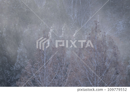 Winter image Winter image 109779552