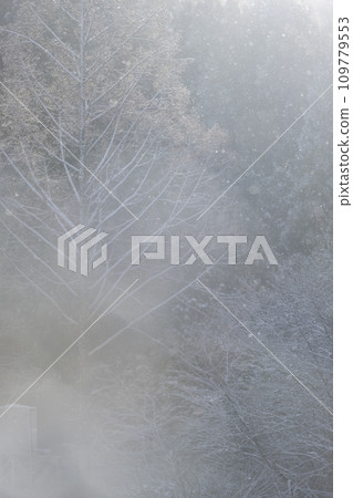 Winter image Winter image 109779553
