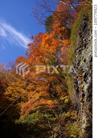 Autumn leaves of Nunobiki Kannon Autumn leaves of Nunobiki Kannon 109779923
