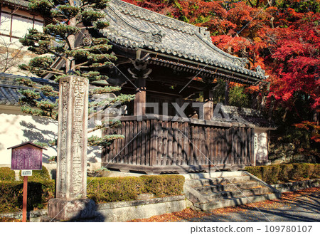 Chokushimon gate and autumn leaves at Saikyoji Temple in Otsu City, Shiga Prefecture Chokushimon gate and autumn leaves at Saikyoji Temple in Otsu City, Shiga Prefecture 109780107