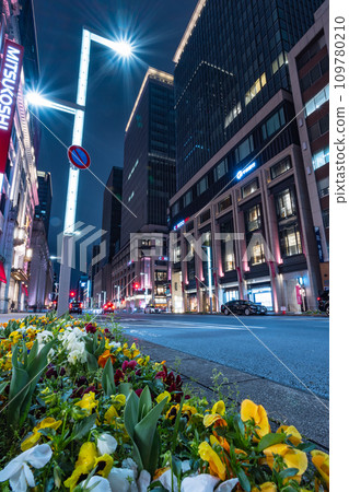 Night view of Tokyo Nihonbashi 109780210