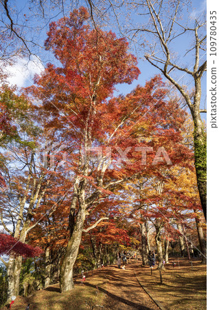 Lake Yamanaka Sunset Beach/Autumn Foliage Festival Scenery inside the venue 109780435