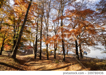 Lake Yamanaka Sunset Beach/Autumn Foliage Festival Scenery inside the venue 109780436