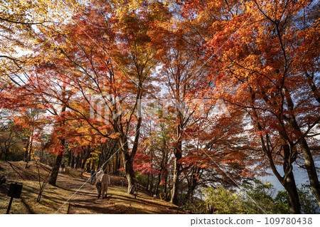 山中湖日落海灘/紅葉祭會場內風景 109780438