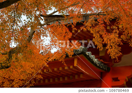 World Heritage Site Kasuga Taisha Shrine Autumn leaves at the south gate World Heritage Site Kasuga Taisha Shrine Autumn leaves at the south gate 109780469