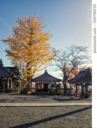 Kannondo and ginkgo in the precincts of Saikyoji Temple in Otsu City, Shiga Prefecture Kannondo and ginkgo in the precincts of Saikyoji Temple in Otsu City, Shiga Prefecture 109780530