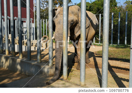 "Shirotori Zoo" where you can interact with animals 109780776