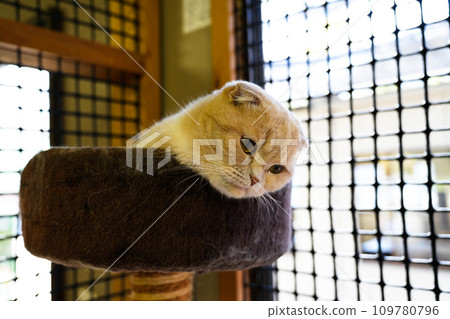 "Shirotori Zoo" where you can interact with animals 109780796