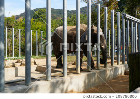 可以與動物互動的“白鳥動物園” 可以與動物互動的“白鳥動物園” 109780800