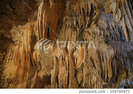 珊瑚礁石灰岩洞 石垣島石灰岩洞 109780973