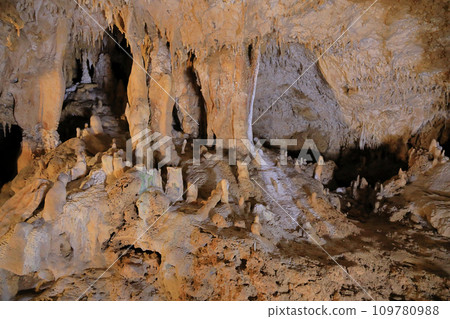 Coral Reef Limestone Cave Ishigaki Island Limestone Cave 109780988