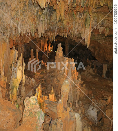 珊瑚礁石灰岩洞 石垣島石灰岩洞 109780996