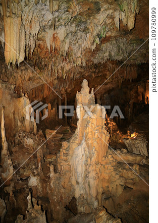 珊瑚礁石灰岩洞 石垣島石灰岩洞 109780999