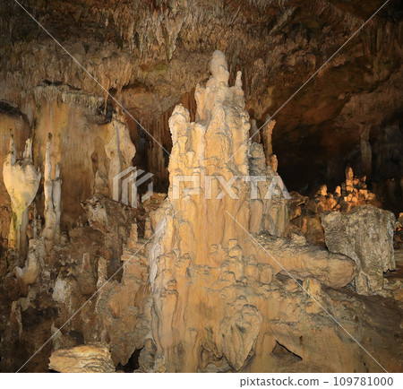 Coral Reef Limestone Cave Ishigaki Island Limestone Cave Coral Reef Limestone Cave Ishigaki Island Limestone Cave 109781000