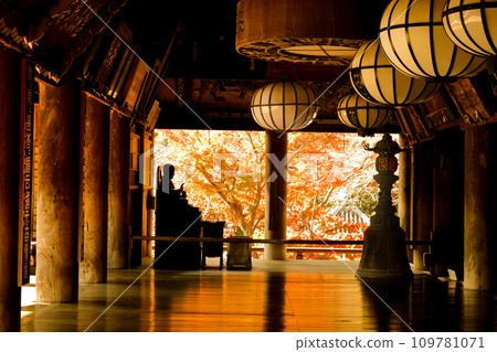 Autumn leaves at the main hall of Hasedera Temple, Yamato Province, the head temple of the Toyozan sect of the Shingon sect, Nara Autumn leaves at the main hall of Hasedera Temple, Yamato Province, the head temple of the Toyozan sect of the Shingon sect, Nara 109781071