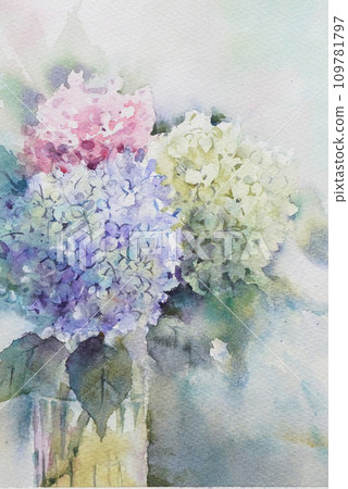 Hydrangea watercolor painting Hydrangea watercolor painting 109781797