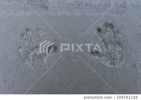 混凝土固化一天后,孩子的手印 混凝土固化一天后,孩子的手印 109782188