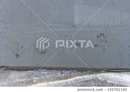 混凝土固化一天后,孩子的手印 混凝土固化一天后,孩子的手印 109782190