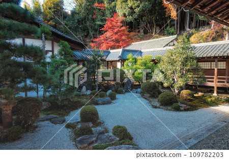 滋賀縣大津市西教寺大本坊庭園 109782203