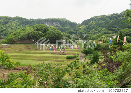 鹿兒島縣大隅町瀨戶山地區的鯉魚旗 鹿兒島縣大隅町瀨戶山地區的鯉魚旗 109782217