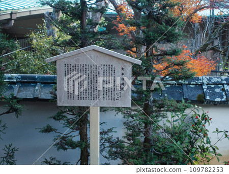 Komasuda from the Ohonbo Garden of Saikyoji Temple in Otsu City, Shiga Prefecture 109782253