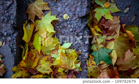 Fragment of the stairs covered with autumn foliage. Fragment of the stairs covered with autumn foliage. 109782679