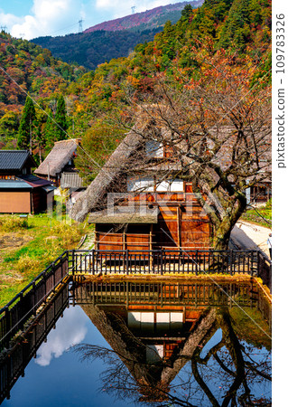 Gokayama Gassho-zukuri village surrounded by autumn leaves 109783326