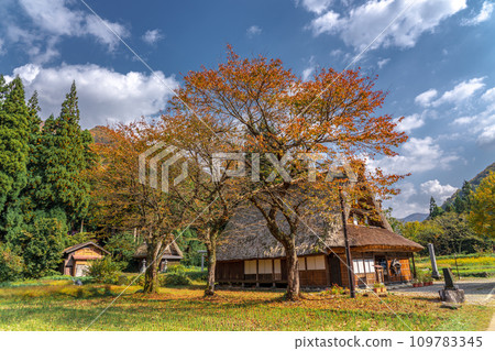 Gokayama Gassho-zukuri village surrounded by autumn leaves Gokayama Gassho-zukuri village surrounded by autumn leaves 109783345