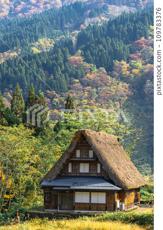 被秋葉包圍的五箇山合掌村 被秋葉包圍的五箇山合掌村 109783376