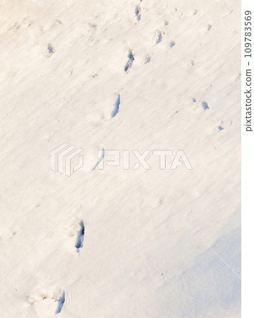 Footprints in the snow at sunny day. Footprints in the snow at sunny day. 109783569