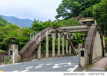 神奈川箱根_國道1號千歲橋風景 109783799