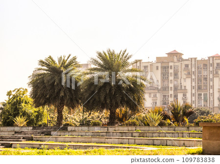 A picture of garden A picture of garden 109783838