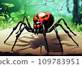 redback spider 109783951