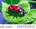 A ladybird that eats aphids 109783952