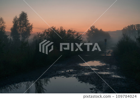 Woman in beautiful misty fog 109784024