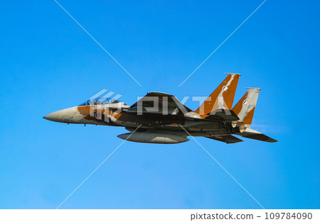 航空自衛隊F-15DJ飛行展示 航空自衛隊F-15DJ飛行展示 109784090