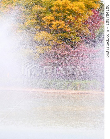 秋葉和噴泉中的水滴 109784100