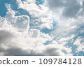 有雷雨的夏天天空 109784128