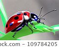 Nanahoshi lady beetle perching on a leaf 109784205