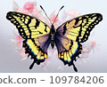 Swallowtail butterfly spreading its wings 109784206