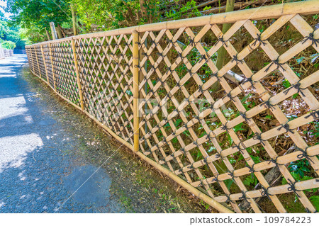 Muko City, Kyoto Prefecture, bamboo path, bamboo fence 109784223