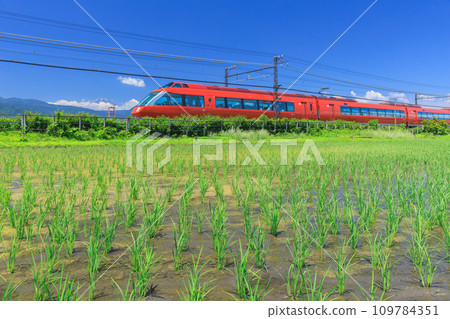 Kanagawa_Odakyu Line and Mt. Fuji/Rural scenery 109784351