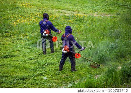 two municipal lawnmower men with string trimmers trimming grass at sunny day 109785742