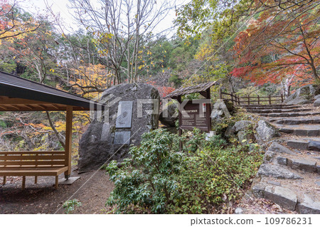 我沿著昇仙峽散步道散步 我沿著昇仙峽散步道散步 109786231