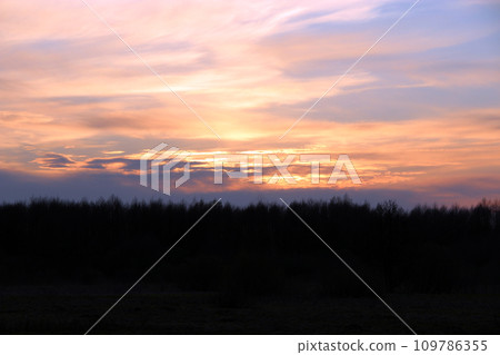 Orange sunset over trees. Twilight with bright sunset. Evening landscape 109786355