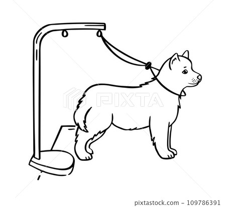 Pet grooming dog. Salon for animals. Doodle style animal and character hand drawn. Vector illustration. 109786391